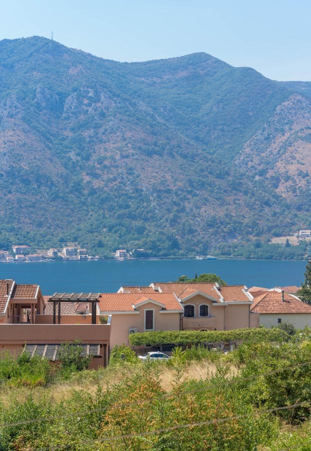 Sunshine Daire Kotor Dış mekan fotoğraf